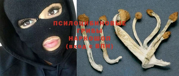 спайс Алексин