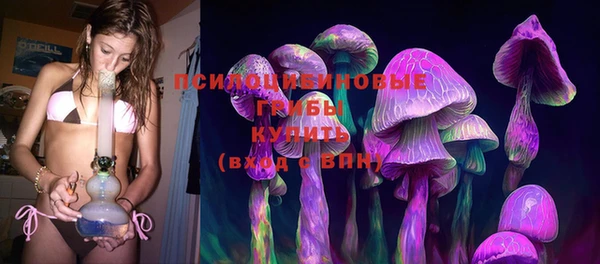 спайс Алексин